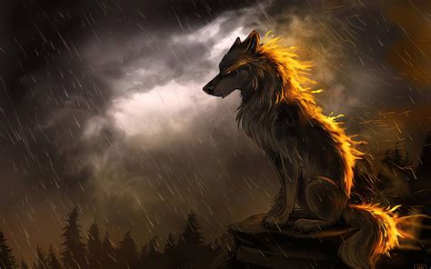 1920x1200 Wolf In Soothing Rain 4k 1080P Resolution HD 4k Wallpapers, Images, Backgrounds ...