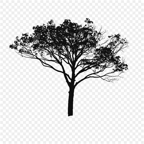 Tree Vector Black And White, Tree Vector Clipart, Tree Clipart, Tree ...