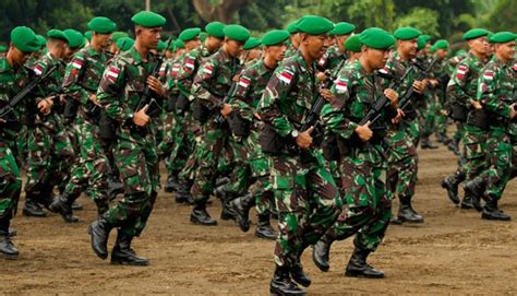 Jenis Fabrik Dan Warna Pakaian Tentara Darat - Anaya-has-Johns