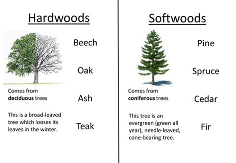 Softwood / Hard woods Group Task by pmsims - Teaching Resources - TES