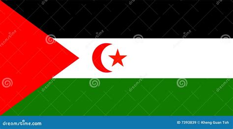 Flag of Western Sahara stock vector. Illustration of flag - 7393839