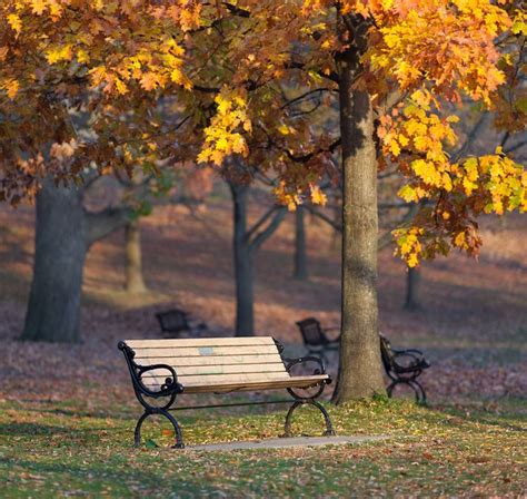 38 best Unique Park Benches images on Pinterest | Park benches, Benches ...