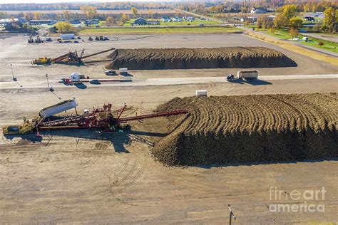 Sugar Beet Farming Photograph by Jim West/science Photo Library - Fine ...