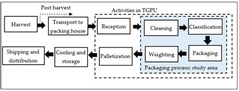 Post-harvest activities of table grapes, including study area of the... | Download Scientific ...