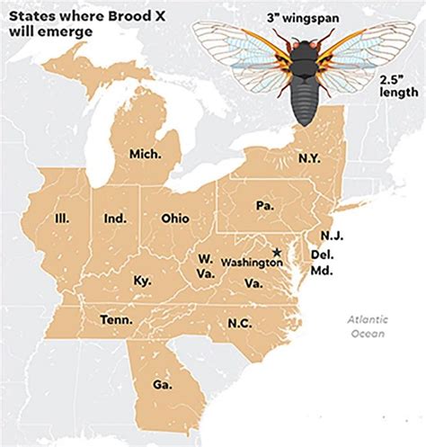 Pin on Insects and Spiders