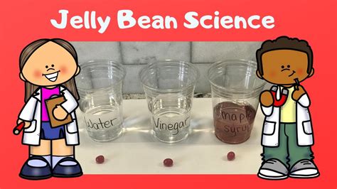 Jelly Bean Science Experiment - A Guide for Parents and Teachers - YouTube