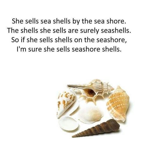 Pin on She sells seashells by the seashore...