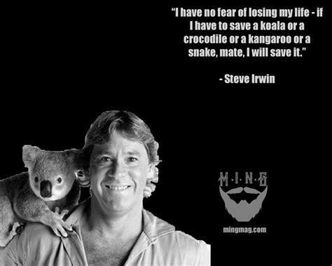 Steve Irwin on animal activism. | Animal activism, Steve irwin, This is ...