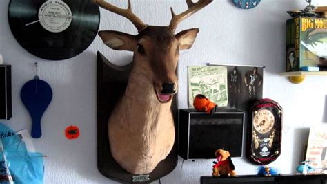 Buck The Singing Deer - YouTube | Singing, Deer, Buck