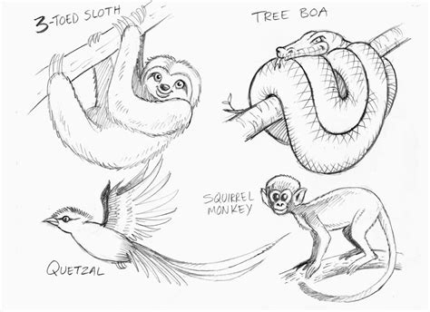 How To Draw A Howler Monkey Easy | PeepsBurgh.Com