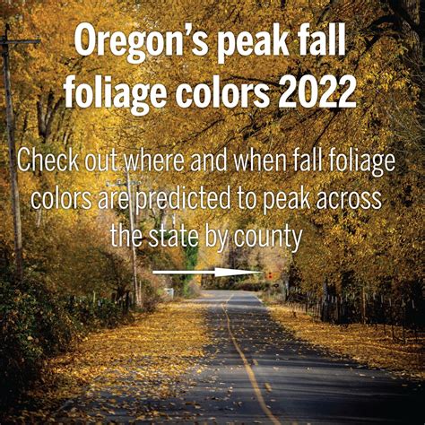 Here’s when fall foliage colors peak in Oregon in 2022 - oregonlive.com