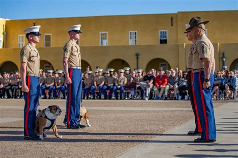 DVIDS - Images - MCRD San Diego Mascot Relief and Appointment [Image 6 ...