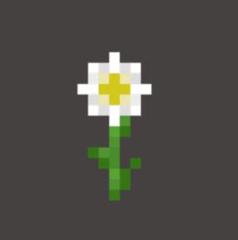 Oxeye Daisy: Minecraft Pocket Edition: CanTeach