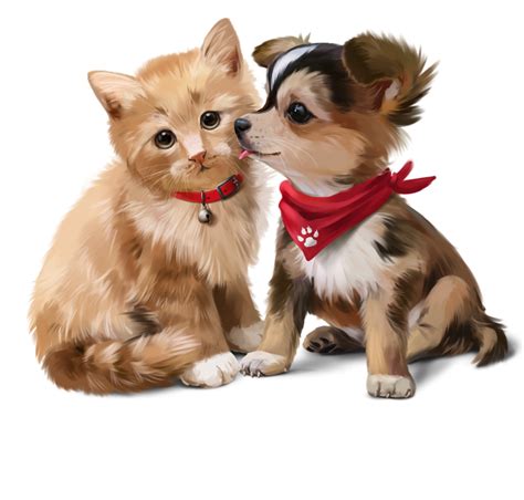 two dogs and a cat sitting next to each other on a white background, one has a red bandanna ...