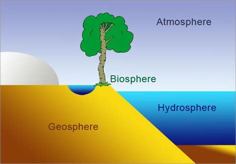 How Does The Biosphere Affect The Atmosphere