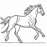 Walking horse coloring Page Lulu Pages sketch template