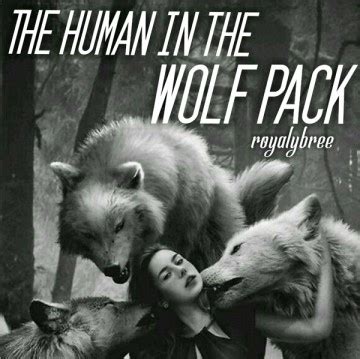 Top 12 Wonderful Werewolf and Human Romance Books - Dreame