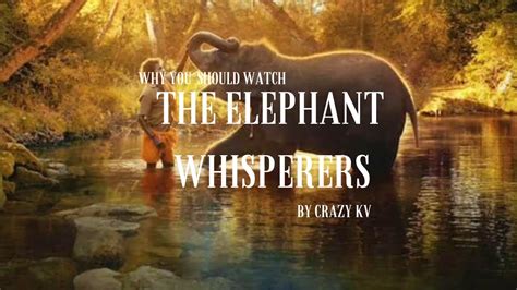 Why you should watch the The Elephant Whisperer(Oscar winning tamil documentary short) - YouTube