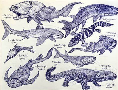 Devonian Animals by MickeyRayRex on DeviantArt