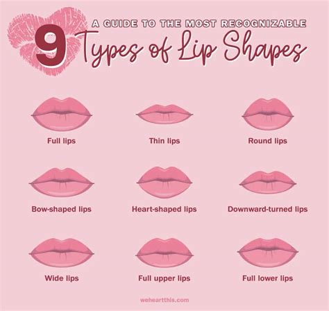 Lip Shapes Types