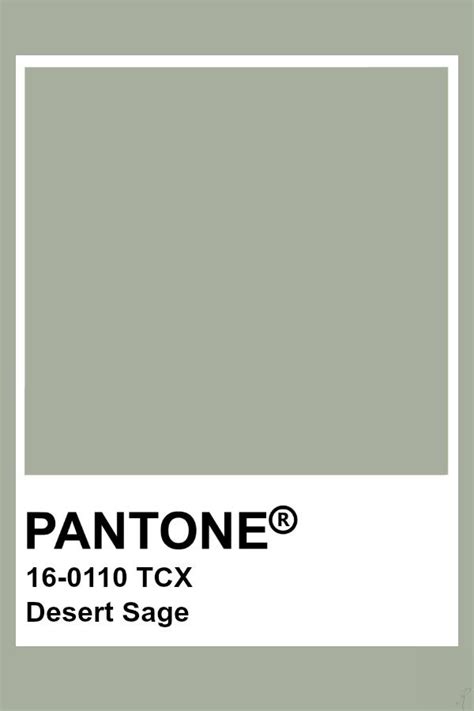 Pantone Desert Sage | Salbei farbpalette, Wandfarbe farbtöne, Grüne farbpalette