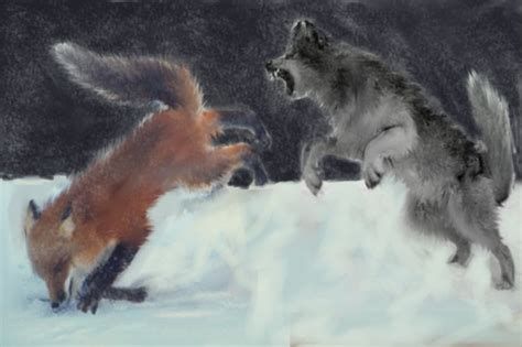 The Fox vs The Wolf: Round two by rko509 on DeviantArt