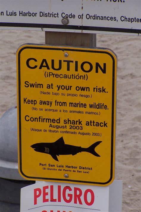 Shark warning sign in Avila Beach | Avila Beach Residents | Pinterest | Avila beach and Beach