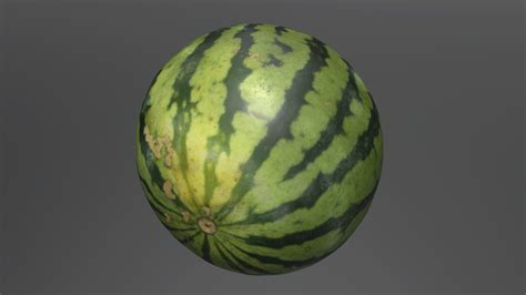 Watermelon - 3D model by 4visualization [6dc71e5] - Sketchfab