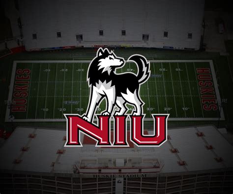 🔥 [50+] NIU Huskies Wallpapers | WallpaperSafari