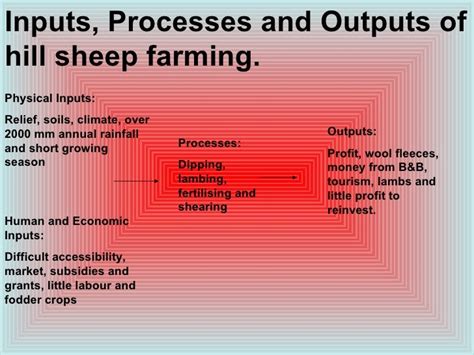 Hill Sheep Farming