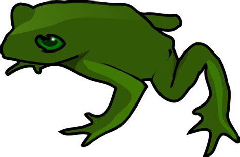 Frog Clip Art at Clker.com - vector clip art online, royalty free & public domain