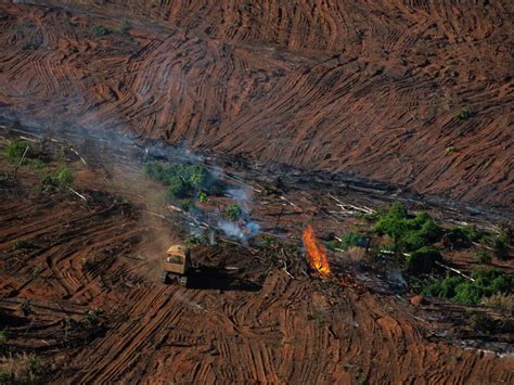 Amazon photos show ‘illegal’ burning of rainforest amid record deforestation levels | The ...