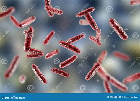 Bacteria Citrobacter, Gram-negative Coliform Bacteria From ...