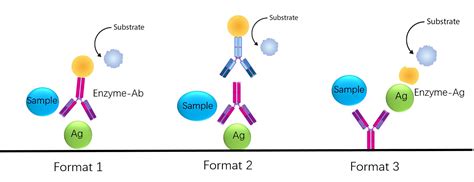 Competition (Inhibition) ELISA - Creative Biolabs