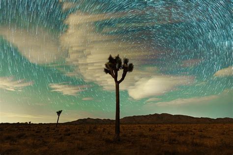 Astrophotography at Joshua Tree National Park with Stan Moniz, Joshua ...