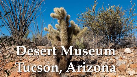 Museum of the Desert in Tucson Arizona ~ Fabulous! - Healthy Wealthy Camper