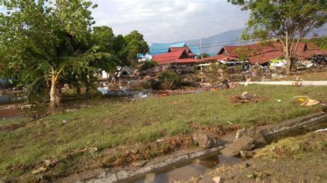 More than 400 people killed after earthquake triggers tsunami in Indonesia | World News | Sky News