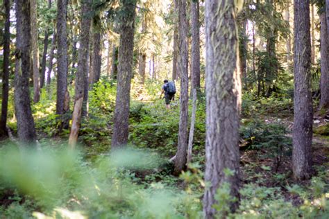 Insider’s Guide to Decoding the Rainbow Mountain Trail Systems