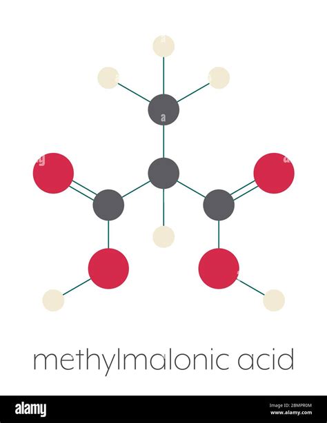 Methylmalonic acid molecule. Increased plasma levels may indicate vitamin B12 deficiency ...