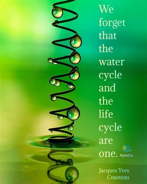 Pin by Yvette Theron on Download in 2023 | Life cycles, Inspirational ...