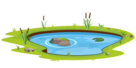 Pond Vector at Vectorified.com | Collection of Pond Vector free for ...