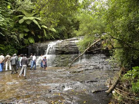 10 Kodaikanal Trekking Places, Trekking Places in Kodaikanal - Treebo