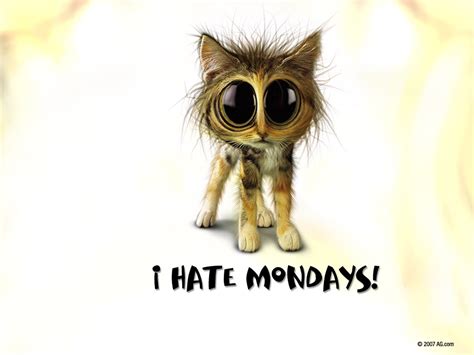 🔥 [90+] Funny Monday Wallpapers | WallpaperSafari