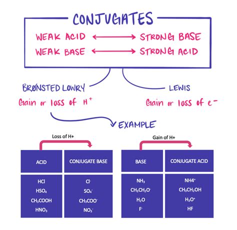 Conjugate Acid-Base Pairs — Overview & Examples - Expii