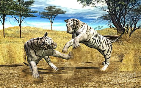 White Tiger Fight Painting by Methune Hively - Fine Art America