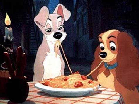 Can Dogs Eat Pasta? Spaghetti, Noodles? Is it good or bad for them ...