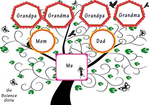 Family Tree Template For Kids (15+ Designs Showing 3 & 4 Generations ) - Go Science Girls