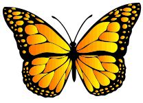 Butterfly Cut Out Template