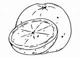 Grapefruit Coloring Pages Printable For Free Download sketch template