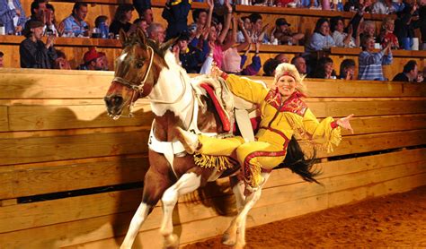 4 Day Stay + 2 Dixie Stampede Tickets - Gatlinburg Vacation Packages